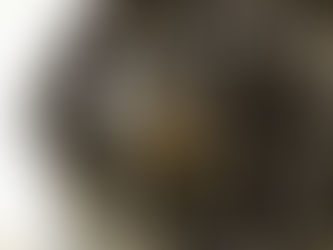 Revolutionizing Mobility: The Electric Wheel-Hub Motor of 1900