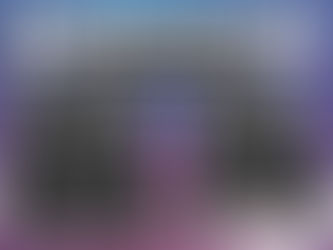 Why these are the BEST Tesla Floor Mats