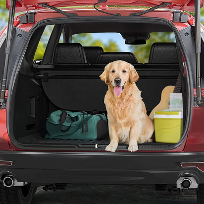 Tesla Model Y All Weather Trunk Mat