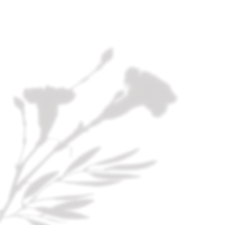 健康サポートセンターエイト