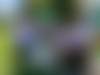 DÍA DEL RECUPERADOR