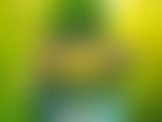 Día mundial de la educación ambiental.