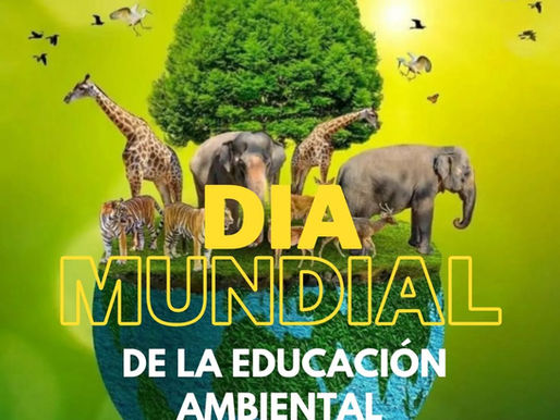 Día mundial de la educación ambiental.