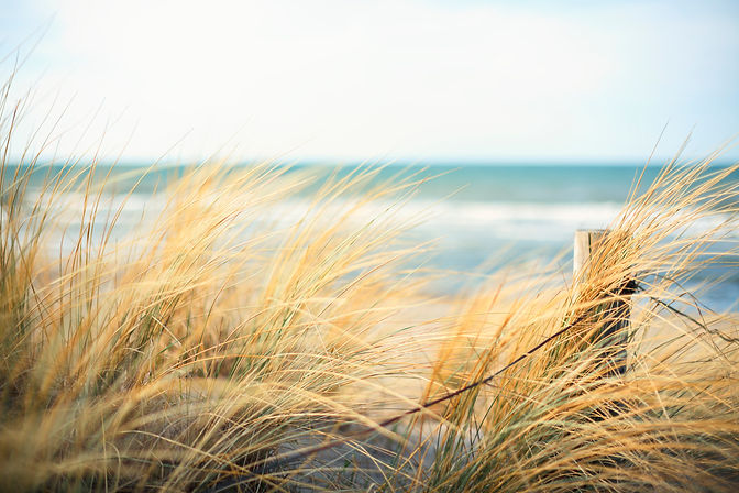 Day-at-the-Ocean-483076291_5745x3830.jpeg