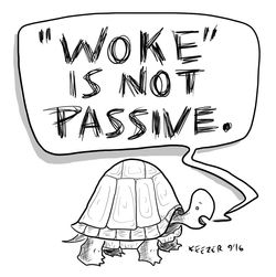 woke turtle