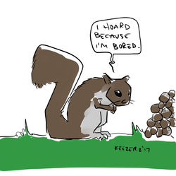 squirrel bored