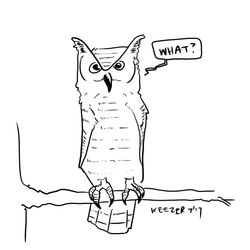 owl what