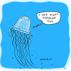 jellyfish
