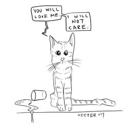 cat care
