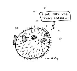 puffer fish surprise