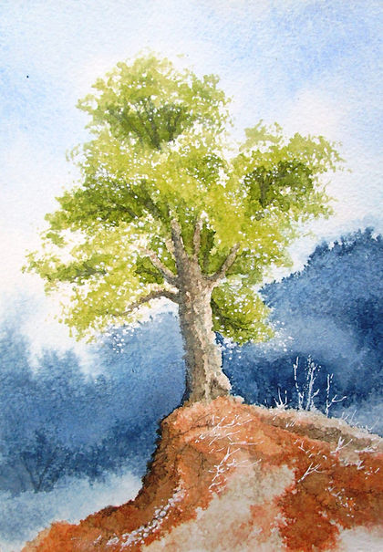 2025-04-15 13.11.22.jpg