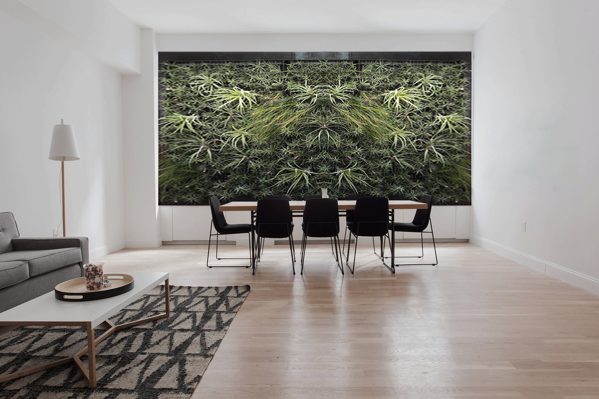 Ecritório-com-Jardim-Vertical.gif