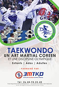 Affiche PUB Dragons Team Taekwondo Rect