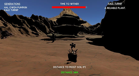 Planted.jpg
