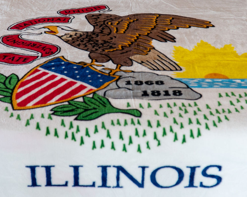 Thumbnail: Illinois  State Flag Cozy Blanket