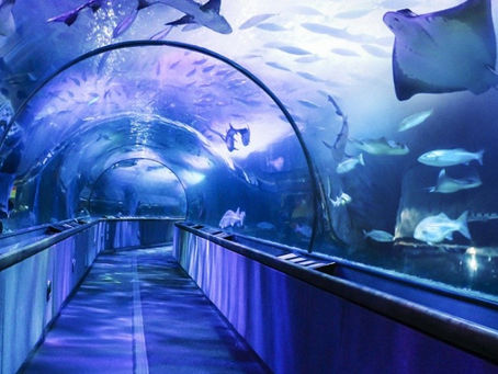 அன்றாட வாழ்வில் நகைச்சுவை