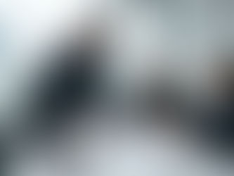 完善政策與經濟治理:從房屋贈與到企業發展的全方位策略
