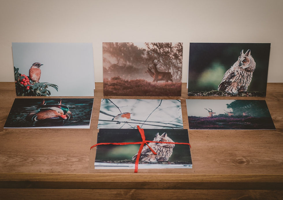 Thumbnail: Christmas Cards