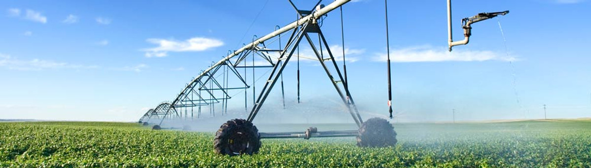 Irrigation System Field