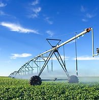 Agriculture