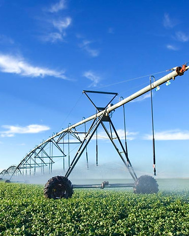 Agriculture