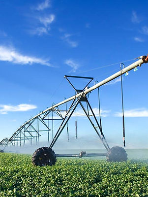 Agriculture