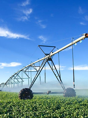 Agriculture