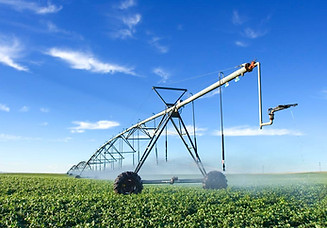 Agriculture