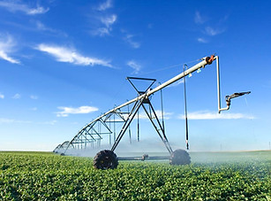 Agriculture 