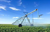 Agriculture