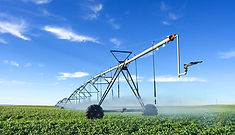 Agriculture