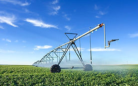 Agriculture