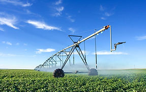 Agriculture