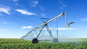 AGROBUSINESS