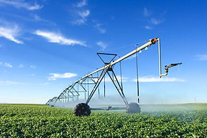 Agriculture