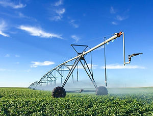 Agriculture