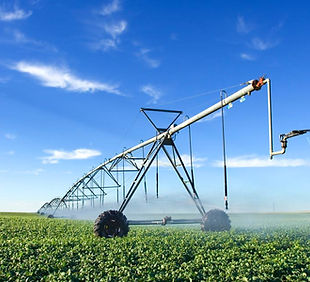 agricultura 