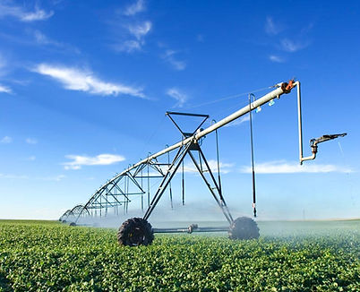 Agriculture