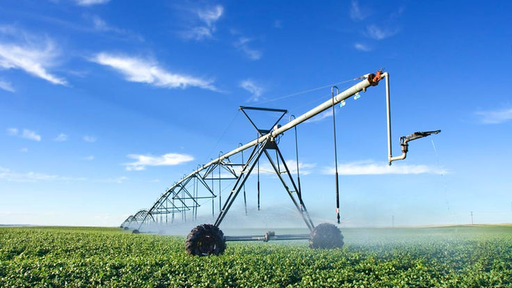 Agriculture 