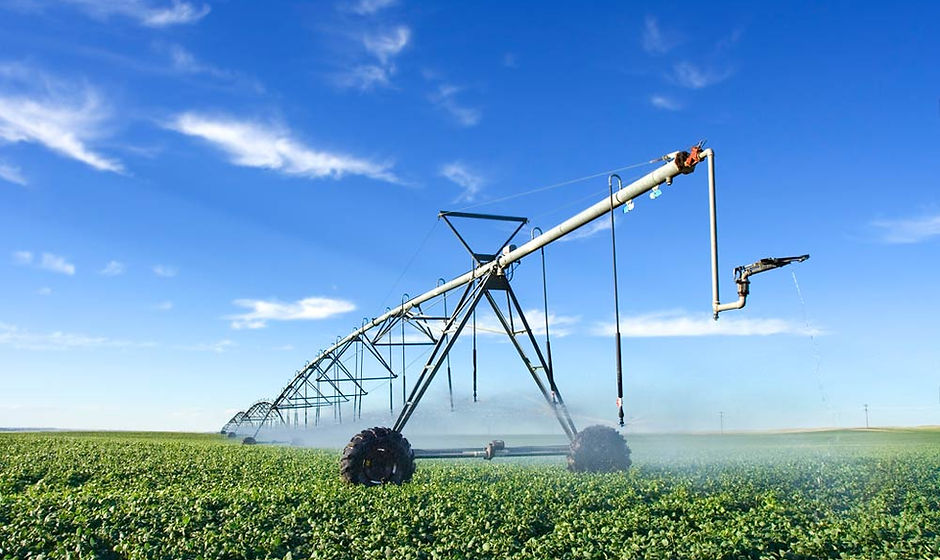 Agriculture