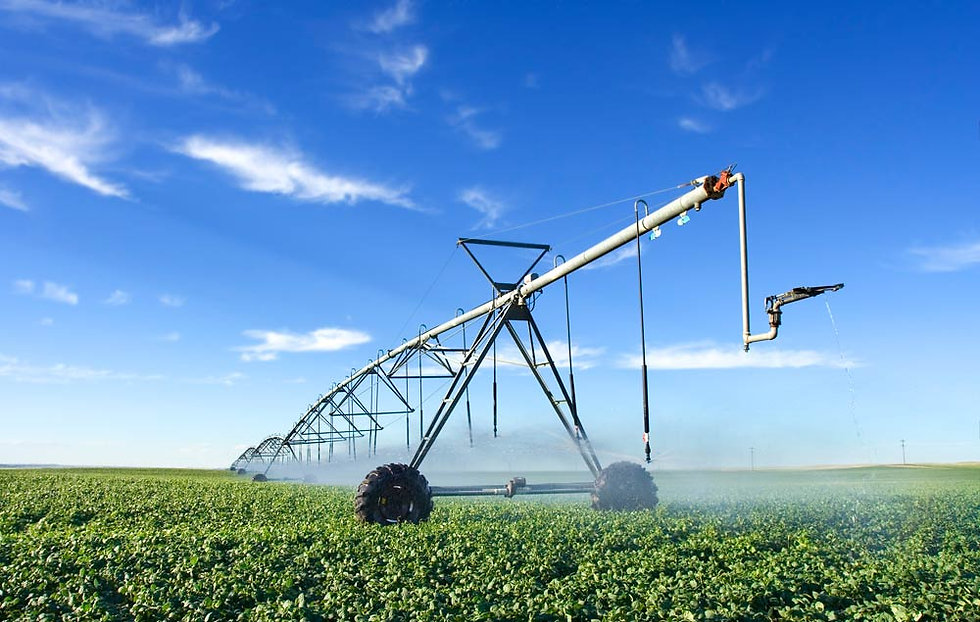 Agriculture