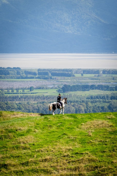 Event Photography, Wairarapa
