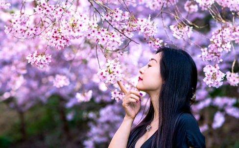 Wellington, Portrait & Family Photographer, Wellington and Wairarapa.