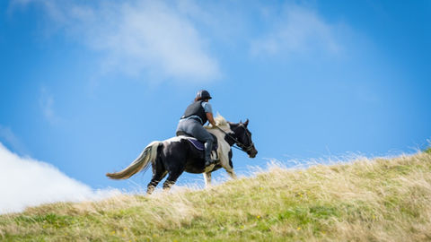 Event Photography, Wairarapa