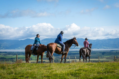 Event Photography, Wairarapa