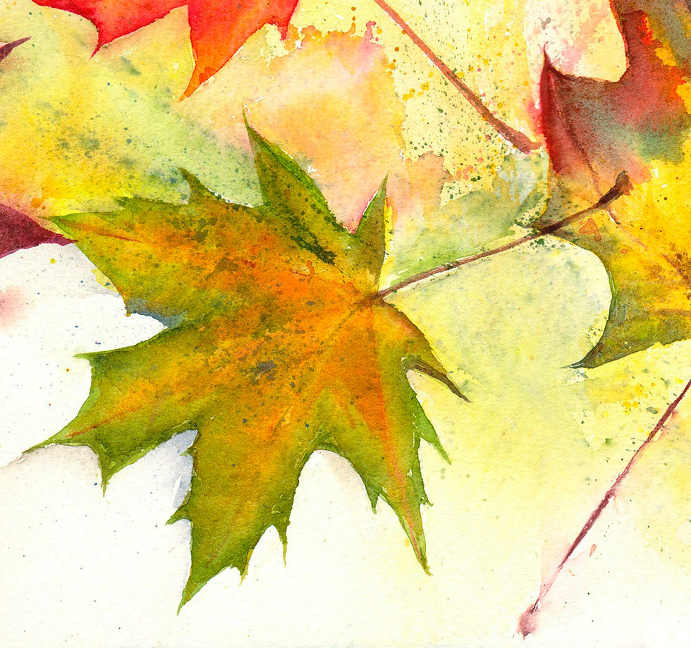 Thumbnail: Autumn leaves, original watercolour painting