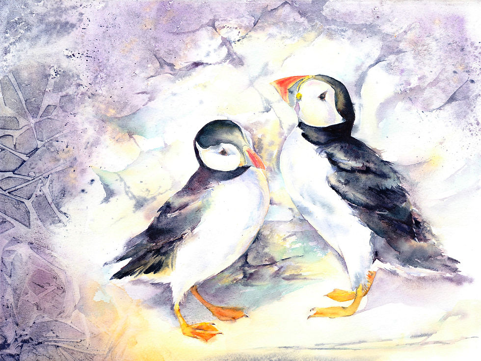 Thumbnail: Puffins, Original watercolour painting, Framed