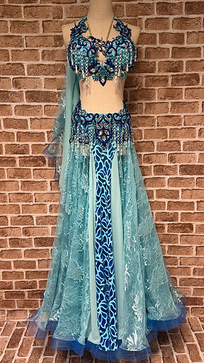 Irina Costumes | Belly Panets