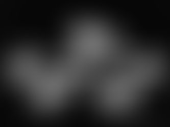 Irving Penn, Still Life of Mushrooms, New York, 1966. Gelatin silver print. © The Irving Penn Foundation