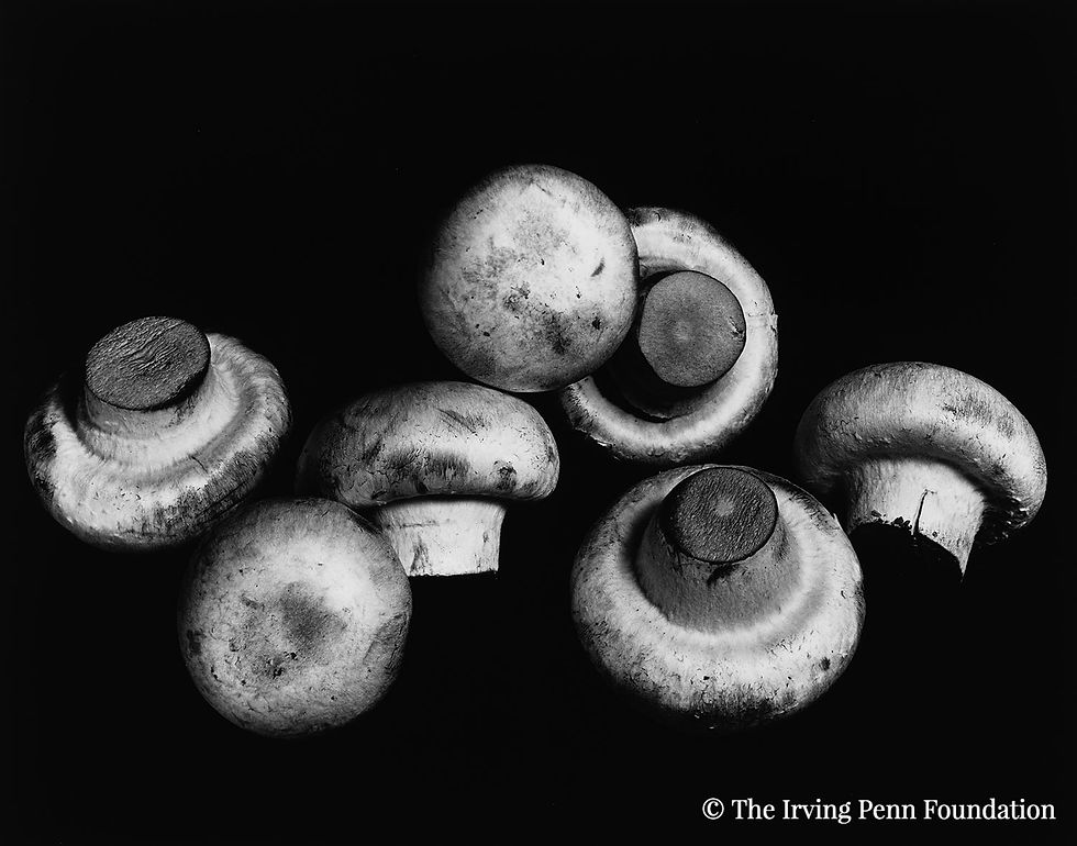Irving Penn, Still Life of Mushrooms, New York, 1966. Gelatin silver print. © The Irving Penn Foundation